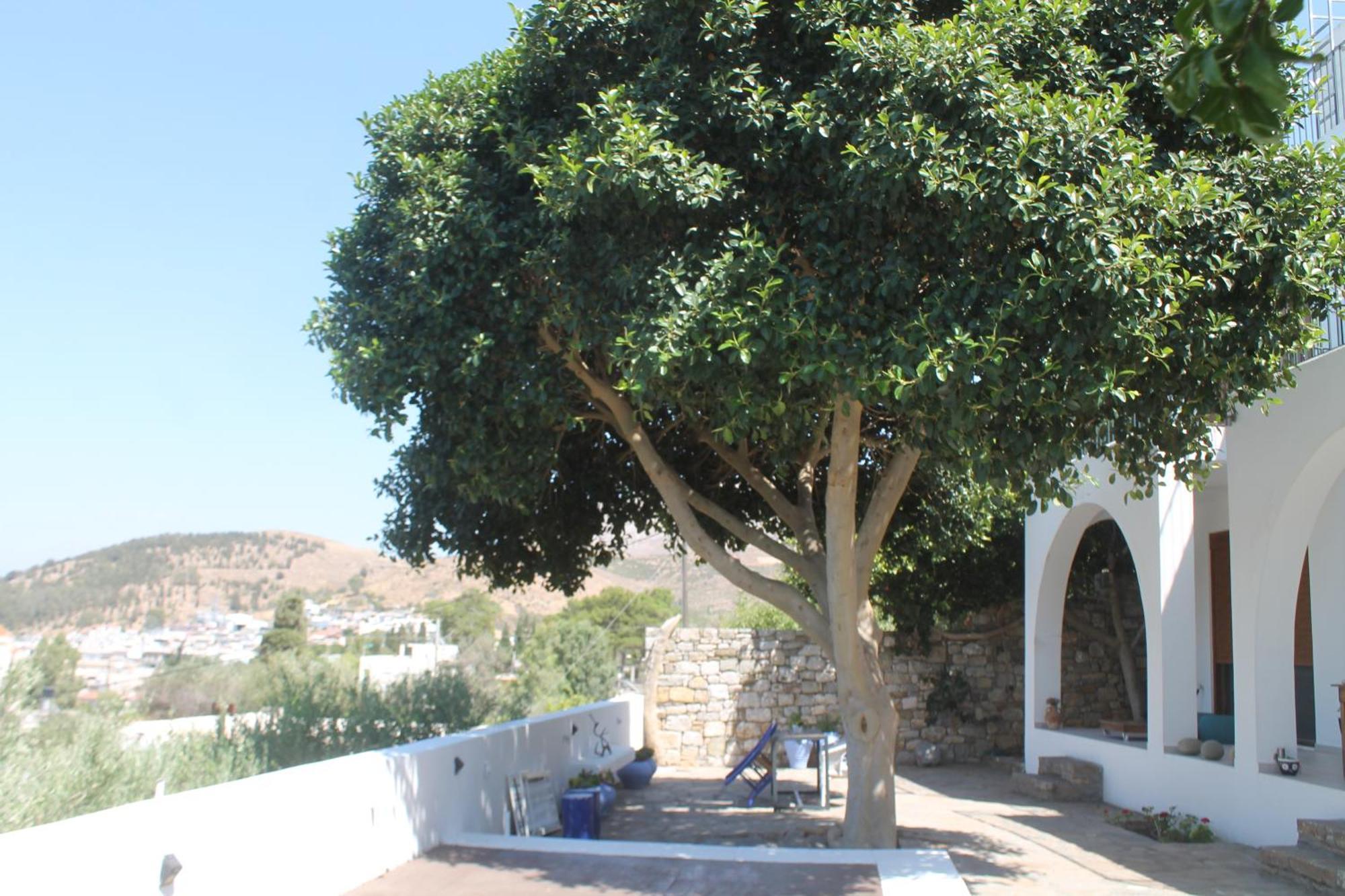 Pirgos  A Crystal Clear House In Pyrgos, Heraklion Crete מראה חיצוני תמונה